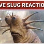 Live slug reaction