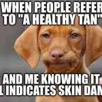 No such thing as a healthy tan | WHEN PEOPLE REFER TO "A HEALTHY TAN"; AND ME KNOWING IT STILL INDICATES SKIN DAMAGE | image tagged in disappointed dog | made w/ Imgflip meme maker