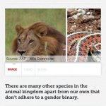 Gender-bending animals