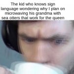 Ummmmmmm | Me making random hand signals; The kid who knows sign language wondering why I plan on microwaving his grandma with sea otters that work for the queen | image tagged in concerned sean intensifies | made w/ Imgflip meme maker