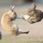 Bunny Kick