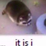 it is Jtug meme