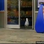 Seagull stealing Doritos meme