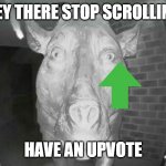 everyone doing this, MY TURN >:) | HEY THERE STOP SCROLLING; HAVE AN UPVOTE | image tagged in scary pig thing | made w/ Imgflip meme maker