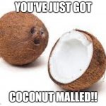 intresting tittle | YOU'VE JUST GOT; COCONUT MALLED!! | image tagged in you just got coconut malled,troll | made w/ Imgflip meme maker