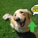 have an upvote :) | HERE, HAVE AN UPVOTE! | image tagged in happy dog | made w/ Imgflip meme maker