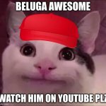 Awkward Smile Cat | BELUGA AWESOME WATCH HIM ON YOUTUBE PLZ | image tagged in awkward smile cat,beluga | made w/ Imgflip meme maker