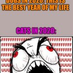 Cats dont like people | HUMANS IN 2020: THIS IS THE WORST YEAR OF MY LIFE; DOGS IN 2020: THIS IS THE BEST YEAR OF MY LIFE; CATS IN 2020: | image tagged in fuuuuuuu | made w/ Imgflip meme maker