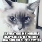 It's true tho | IF EVERYTHING IN CINDERELLA DISAPPEARED AFTER MIDNIGHT, HOW COME THE SLIPPER STAYED? | image tagged in gifs,cat,cinderella,think about it,stop reading the tags,oh wow are you actually reading these tags | made w/ Imgflip video-to-gif maker