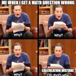 Why, why, why, Oh that's why | ME WHEN I GET A MATH QUESTION WRONG; CALCULATION MISTAKE | image tagged in why why why oh that's why | made w/ Imgflip meme maker