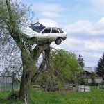 Car stuck in tree (higher Res) template
