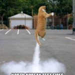 North Korean Fires Rocket | NORTH KOREAN TEST FIRES INTERCONTINENTAL BALLISTIC KITTY | image tagged in rocket cat,miss piggy,fun,happy,meme | made w/ Imgflip meme maker