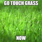 touch it | GO TOUCH GRASS; NOW | image tagged in grass is greener | made w/ Imgflip meme maker