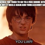You liar clip Harry Potter | WHEN YOU TRIED TO GO TO A FREE ROBUX SITE
BUT TURNS OUT IT WAS A SCAM AND YOUR ACCOUNT GOT HACKED | image tagged in you liar clip harry potter | made w/ Imgflip meme maker