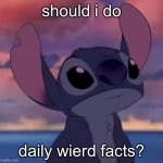 should i? | should i do; daily wierd facts? | image tagged in stitch | made w/ Imgflip meme maker