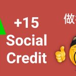 Social Credit +15