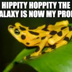 Froge owns the galaxy | HIPPITY HOPPITY THE THE GALAXY IS NOW MY PROPERTY | image tagged in hippity hoppity | made w/ Imgflip meme maker