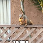 Scat,Squirrel! Melville's Bartleby | "SCAT, SQUIRREL!!"; "I WOULD    PREFER NOT TO." | image tagged in bartleby the squirrel | made w/ Imgflip meme maker