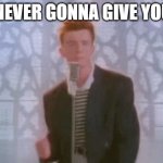 ;) | I'M NEVER GONNA GIVE YOU UP | image tagged in rickroll | made w/ Imgflip meme maker