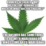 Marijuana leaf | RUNNERS GET ASKED. "WHY DO YOU LOVE RUNNING SO MUCH OR WHAT ARE YOU CHASING?"; THE ANSWER HAS SOMETHING TO DO WITH MARIJUANA OR THINGS SIMILAR TO MARIJUANA! | image tagged in marijuana leaf | made w/ Imgflip meme maker