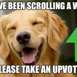 Have a nice day | YOU’VE BEEN SCROLLING A WHILE; PLEASE TAKE AN UPVOTE! | image tagged in happy dog | made w/ Imgflip meme maker