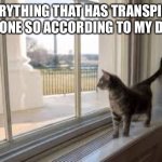 Senator Willow | EVERYTHING THAT HAS TRANSPIRED HAS DONE SO ACCORDING TO MY DESIGN | image tagged in senator willow | made w/ Imgflip meme maker