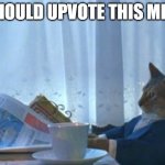 Be like Boat Cat! | I SHOULD UPVOTE THIS MEME | image tagged in memes,i should buy a boat cat | made w/ Imgflip meme maker