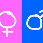 genders | image tagged in genders | made w/ Imgflip meme maker