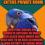 -Just high lvl. | -ENTERS PRIVATE ROOM. EVERYTIME CHECKS FOR HIDDEN IN SUITCASE OR UNDER BED BLACK NINJA WHICH HAS BEEN SENT TO DO KICK ACCORDING TO HIGH ACTIVITY AT SOCIAL WEBS. | image tagged in memes,paranoid parrot,could i be the green ninja,hidden,bedroom,social distancing | made w/ Imgflip meme maker