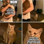 this is oddly relatable | MY 13 YEAR SISTER GETTING CREDIT WHEN SHE BARLEY CLEANED MOM ME BEING 15 AND CLEANS HALF OF THE HOUSE AND MOM TELLING ME I DIDN'T CLEAN ENOU | image tagged in sad cat holding dog,relatable,childhood | made w/ Imgflip meme maker