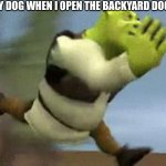 s h r e k | MY DOG WHEN I OPEN THE BACKYARD DOOR: | image tagged in me running from the fbi,shrek,dog,idk | made w/ Imgflip meme maker