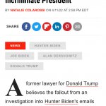 Hunter Biden emails not enough to incriminate President Biden