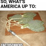 Cactuschucks | SO, WHAT'S AMERICA UP TO:; CACTUSCHUCKS | image tagged in cactus chucks,nunchaku,nunchucks,cactus,cacti | made w/ Imgflip meme maker