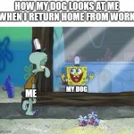 Spongebob Squidward | HOW MY DOG LOOKS AT ME WHEN I RETURN HOME FROM WORK; MY DOG; ME | image tagged in spongebob squidward,work,dog memes | made w/ Imgflip meme maker