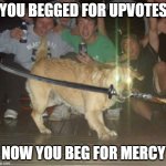 when you beg for upvotes | YOU BEGGED FOR UPVOTES; NOW YOU BEG FOR MERCY | image tagged in dog with sword and glowing eyes | made w/ Imgflip meme maker