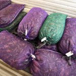 crawfish sacks