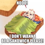 A new sandwich | NOOO! I DON’T WANNA BE A SANDWICH PLEASE! | image tagged in paimon sandwich,memes | made w/ Imgflip meme maker