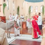 DonkeyChurch