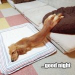 Whateva, I do what I want | ...good night | image tagged in half out of the doggy bed | made w/ Imgflip meme maker