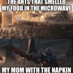 mom vs ants | THE ANTS THAT SMELLED MY FOOD IN THE MICROWAVE; MY MOM WITH THE NAPKIN | image tagged in avengers endgame final battle against thanos,moms | made w/ Imgflip meme maker