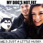 Daily Bad Dad Joke April 14 2022 | MY DOG'S NOT FAT; HE'S JUST A LITTLE HUSKY. | image tagged in jealous husky | made w/ Imgflip meme maker