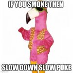 Ya Flamingo | IF YOU SMOKE THEN; SLOW DOWN SLOW POKE | image tagged in ya flamingo | made w/ Imgflip meme maker