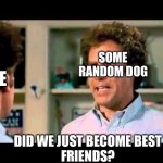 Did We Just Become Best Friends Mustang | SOME RANDOM DOG; ME; DID WE JUST BECOME BEST
FRIENDS? | image tagged in did we just become best friends mustang | made w/ Imgflip meme maker