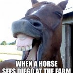 Funny Horse Face | WHEN A HORSE SEES DIEGO AT THE FARM | image tagged in funny horse face | made w/ Imgflip meme maker