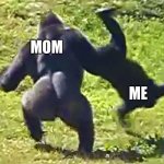 Gorilla flipping gorilla | MOM; ME | image tagged in gorilla flipping gorilla | made w/ Imgflip meme maker