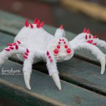 albino spider