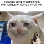 Sad cat with gun | Russians being forced to shoot their refrigerator during the cold war: | image tagged in cold war,sad cat holding dog | made w/ Imgflip meme maker