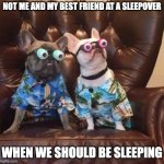 Hehe... | NOT ME AND MY BEST FRIEND AT A SLEEPOVER; WHEN WE SHOULD BE SLEEPING | image tagged in funny dogs,memes,funny,dogs,derp,sleepovers | made w/ Imgflip meme maker