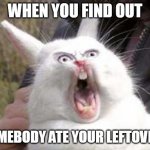 Angry Bunny | WHEN YOU FIND OUT; SOMEBODY ATE YOUR LEFTOVERS | image tagged in angry bunny | made w/ Imgflip meme maker