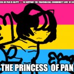 Pansexual flag | THE PRINCESS OF PAN IS HAPPY ☺  TO SUPPORT THE TRANSRACIAL COMMUNITY LOVE ❤ XENO KALLUM; THE PRINCESS  OF PAN | image tagged in pansexual flag | made w/ Imgflip meme maker
